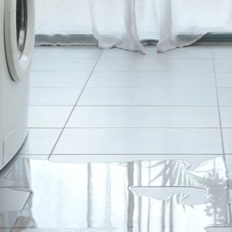 Appliance Leak Cleanup in Monroe County, AL