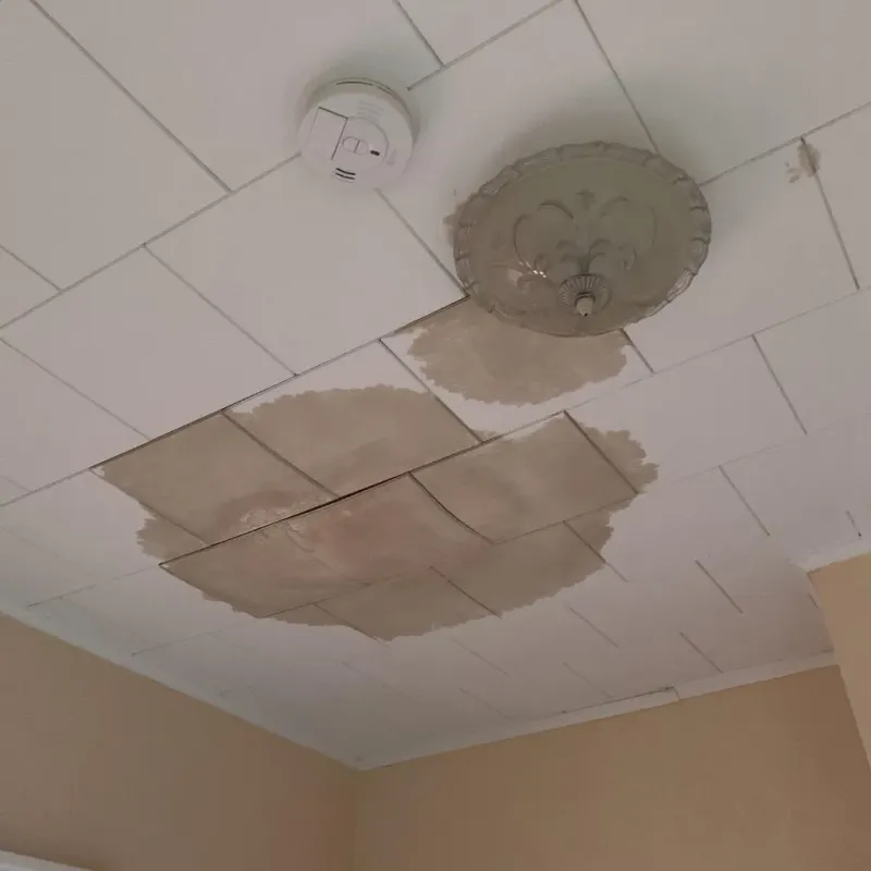 Ceiling Water Damage Repair in Monroe County, AL