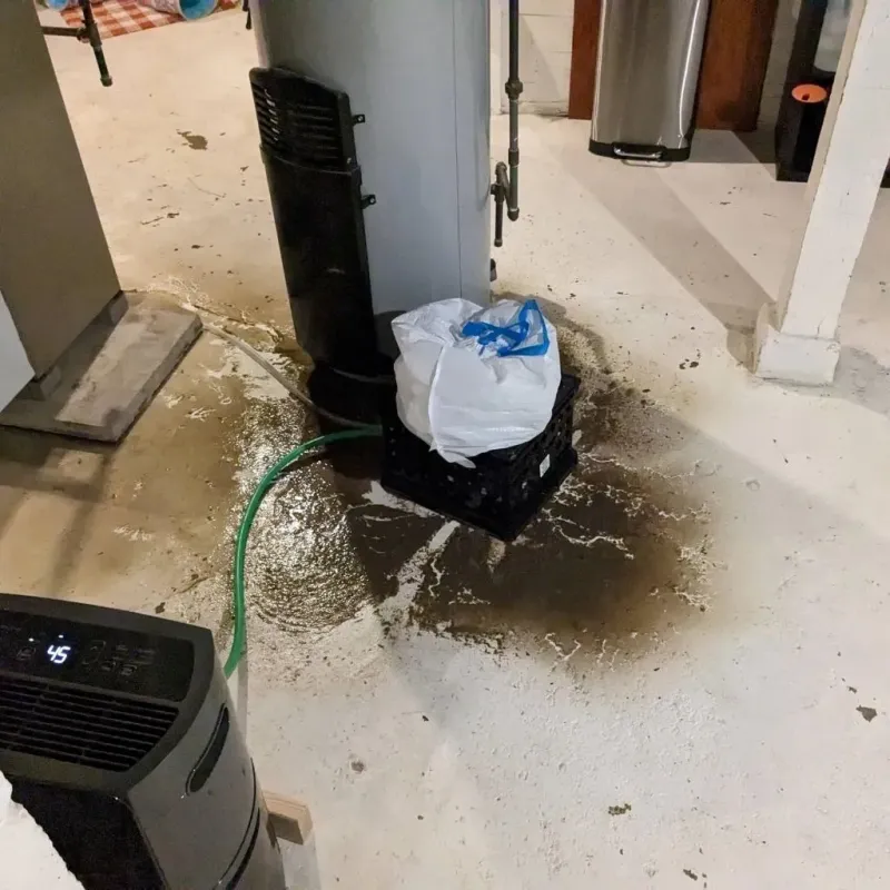 Sewage Backup Cleanup Service in Monroe County, AL